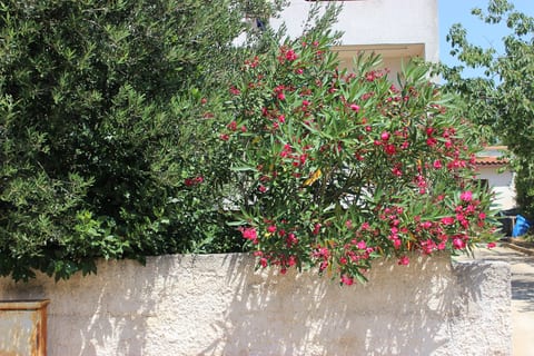Apartment Kunce - Unit 370414-13