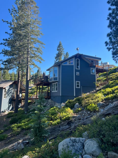 The Blue House