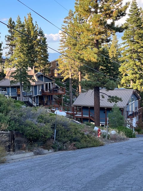 The Blue House