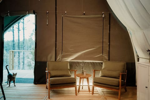 Family Glamping Adventure in New Mexico