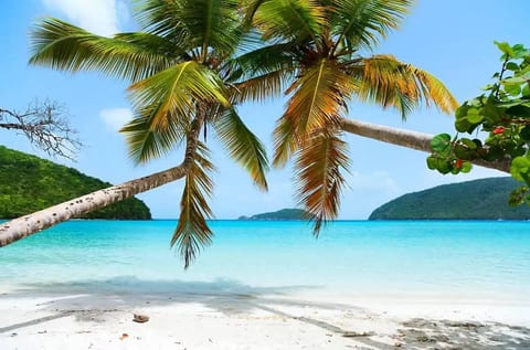 Oceanview Stay - Walk to Beach