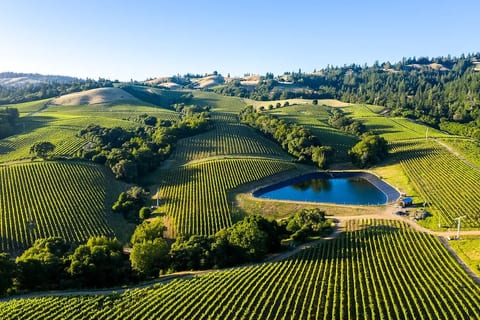 Napa Escape | Luxe King Bed | Near Wineries & Spa