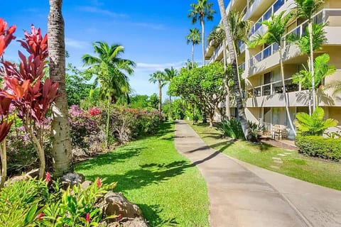 Beachfront Studio | Walk to Kamaole Beach + Pools