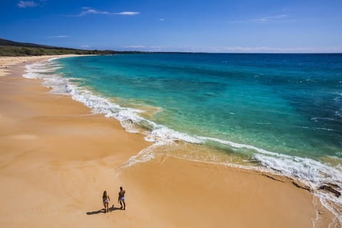 Beachside Retreat | Walk to Shops & Dining