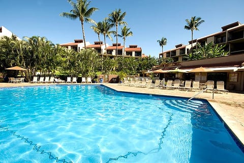Beachfront Bliss | Walk to Sand, Pool, Restaurants