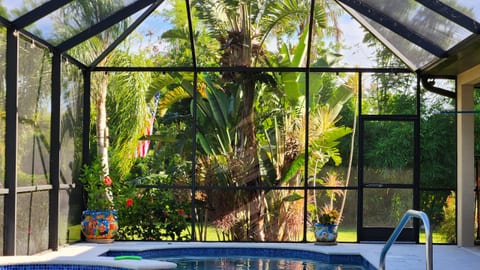 Tropical Lanai Salt Water Pool - Jacuzzi