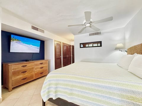 Sapphire Beachfront, Free Wi Fi, Pool, Snorkeling Amazing View!