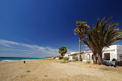 Casa Rey