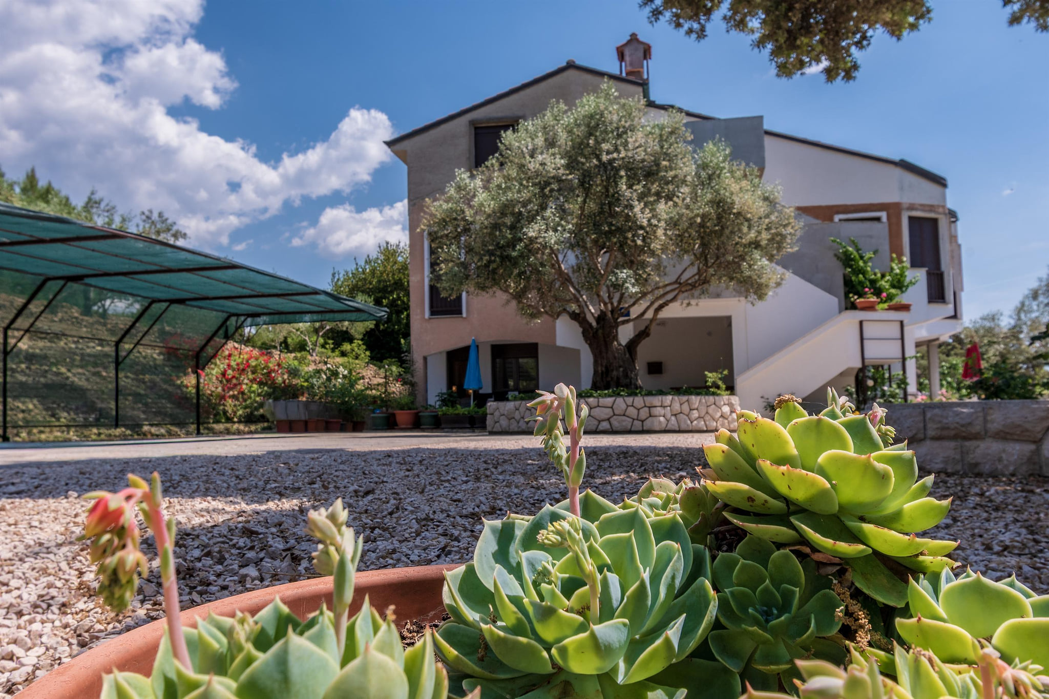 Apartments Villa Ana - Unit 378398-13