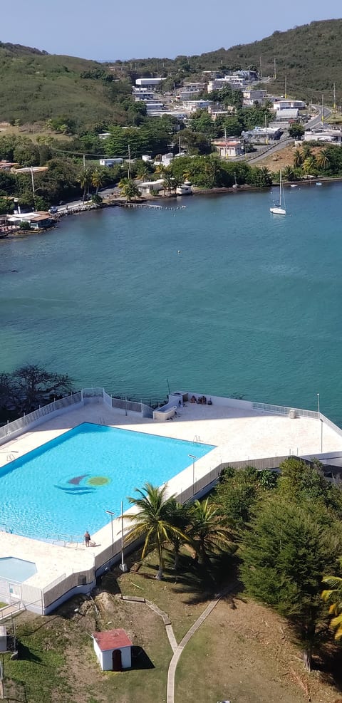 Resort Pool