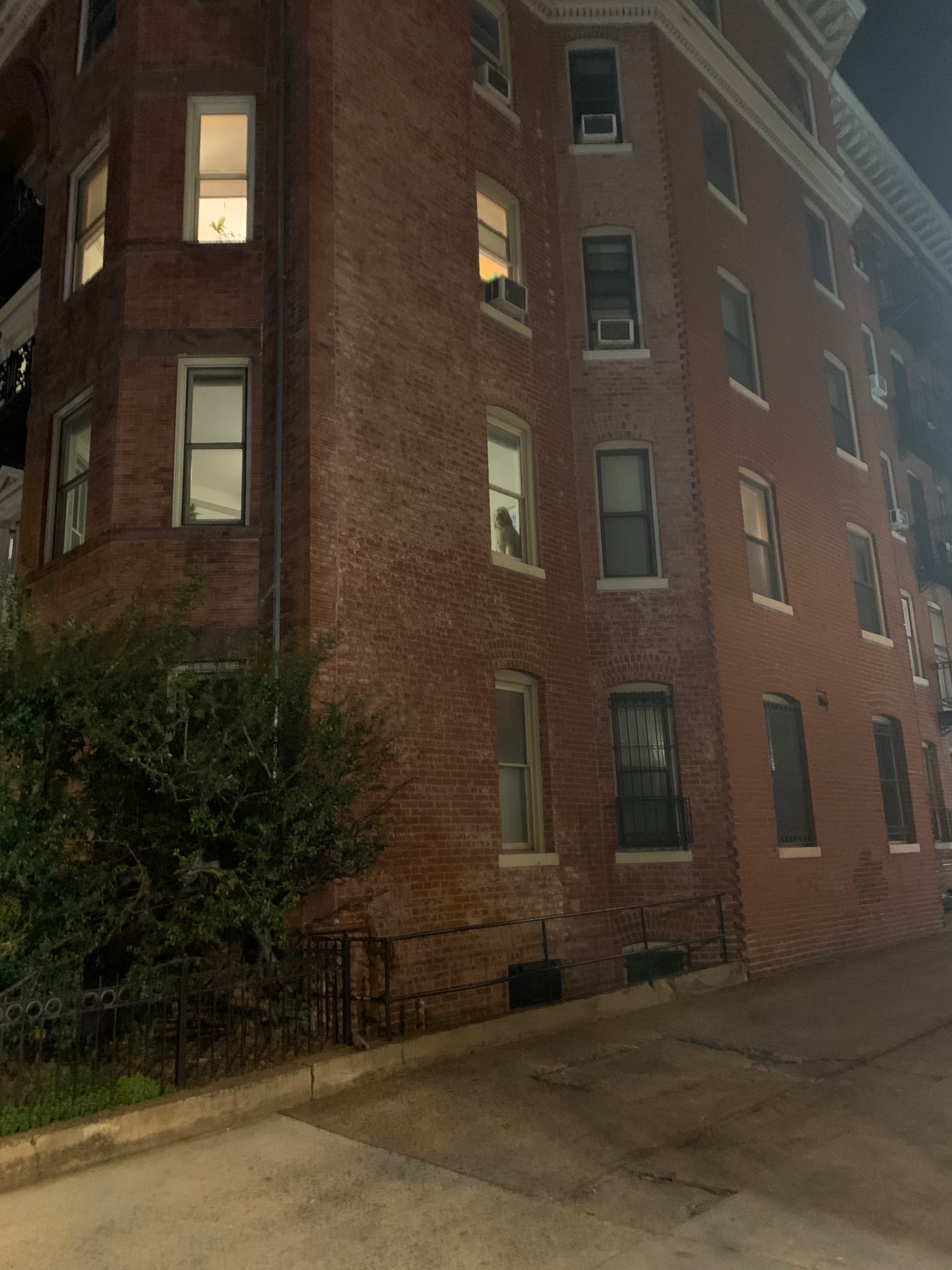 Quaint DC Apartment