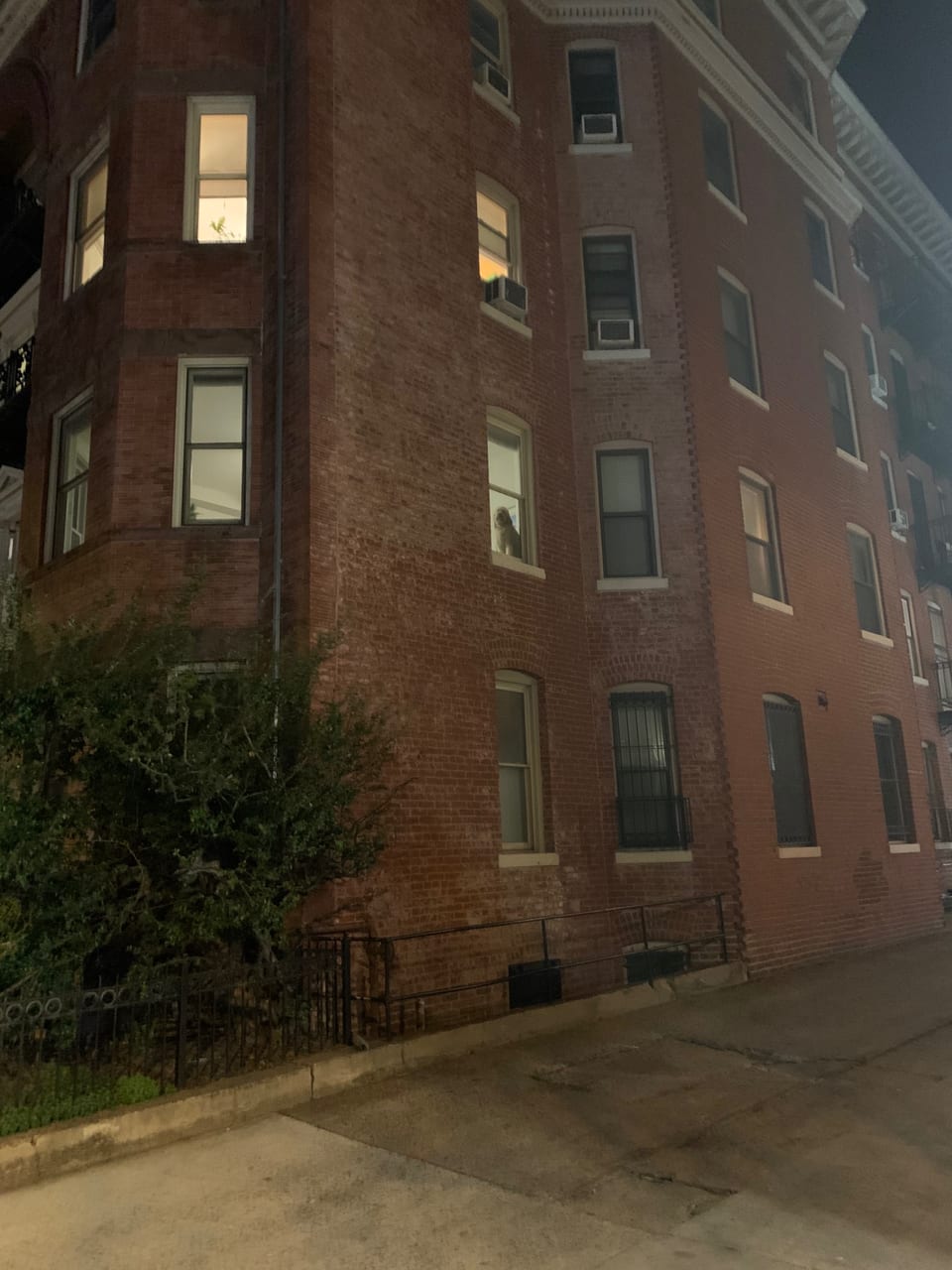 Quaint DC Apartment - Washington