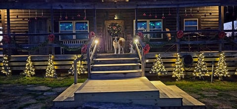 The Christmas Cabin at Christmas Tree Lane!