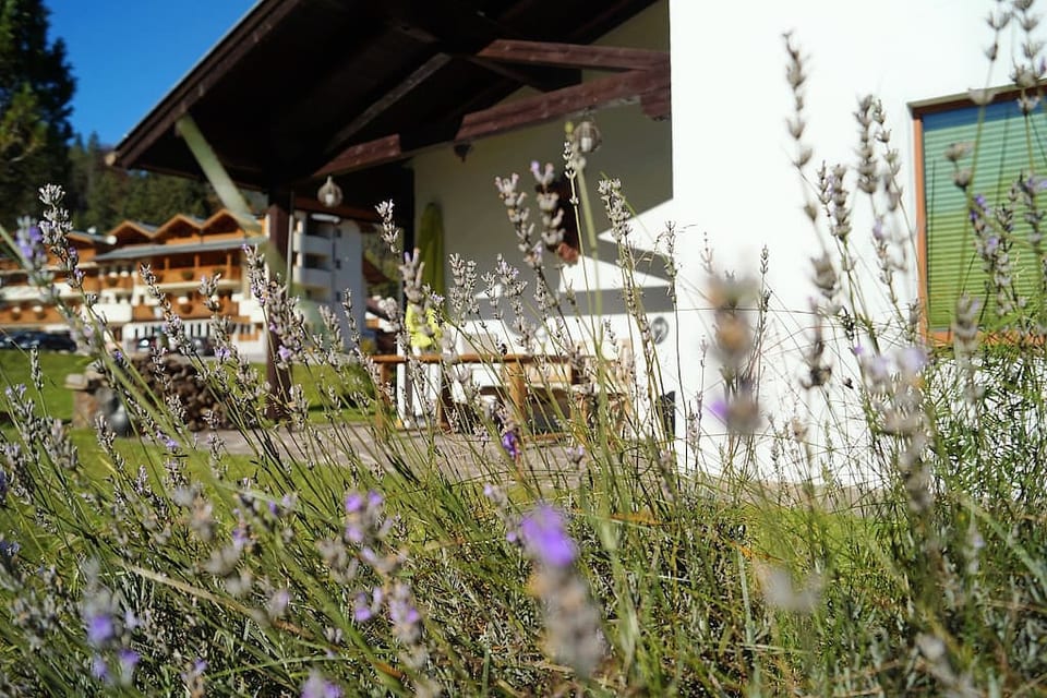 Holiday home at Achensee 27471
