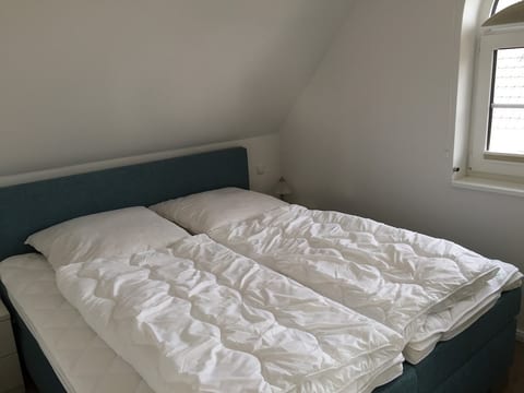 Holiday apartment on the Darss PN1