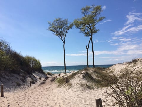Holiday apartment Zingst Darss 20551