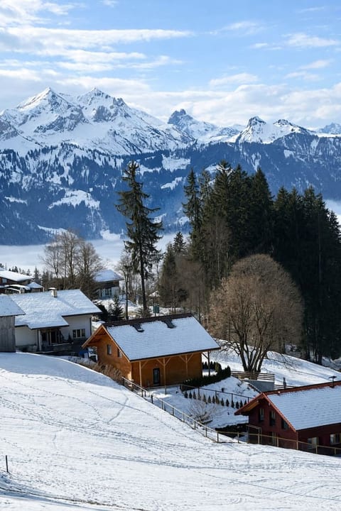 Modern SPA Chalet near Interlaken • AC • Hot Tub • BBQ