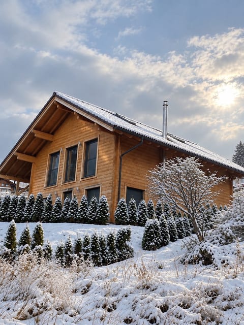 chalet facade with snow