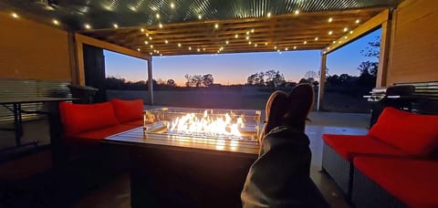 Margie's Coop on a Real Ozark Christmas Tree Farm