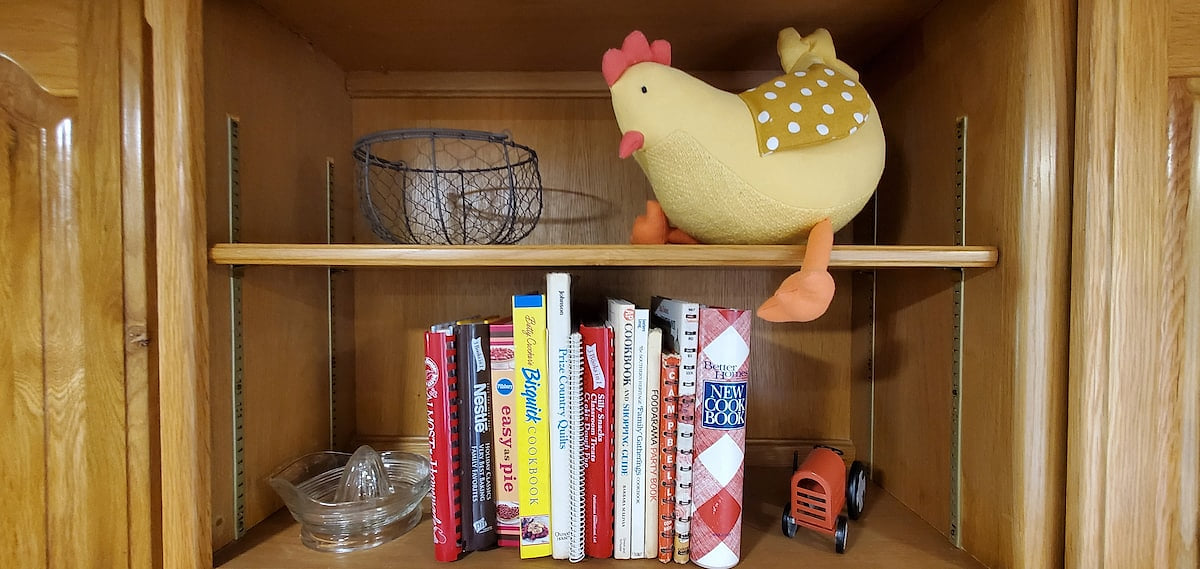I don't remember where we found this stuffed chicken, but when we saw it we knew we had the perfect spot.