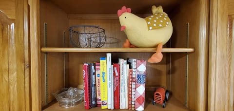 I don't remember where we found this stuffed chicken, but when we saw it we knew we had the perfect spot.