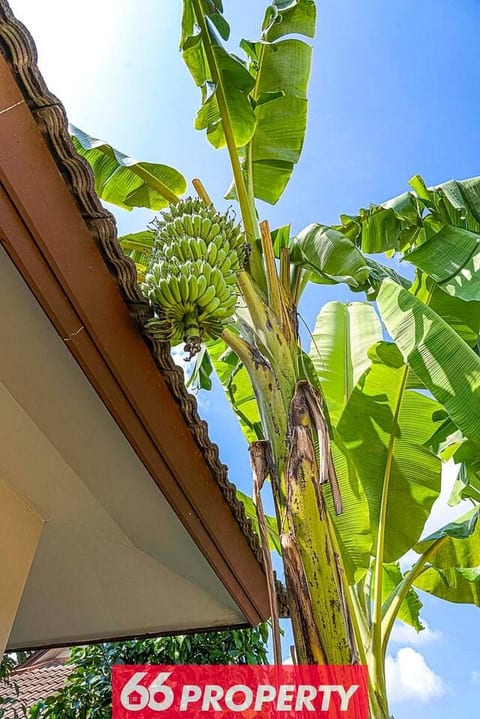 Cozy Home in Green Community. Swimming Pool Access