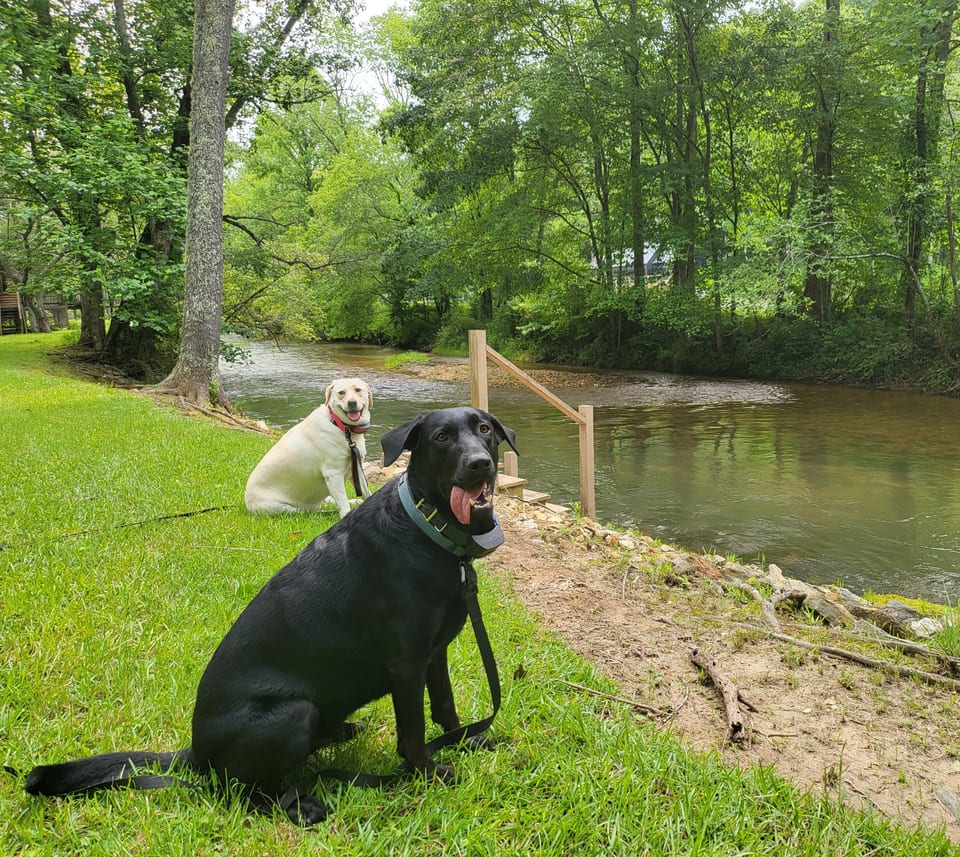 Toccoa Currents: Headwaters - Suches