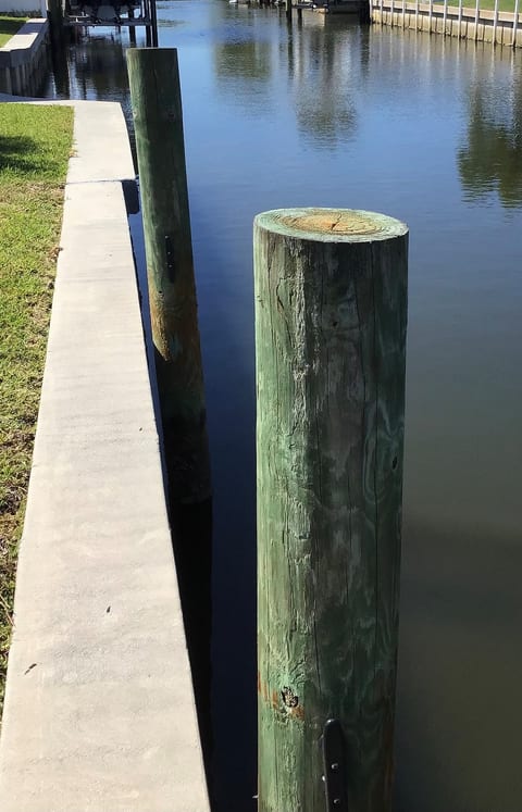 Simple Old Florida Style Home image 4