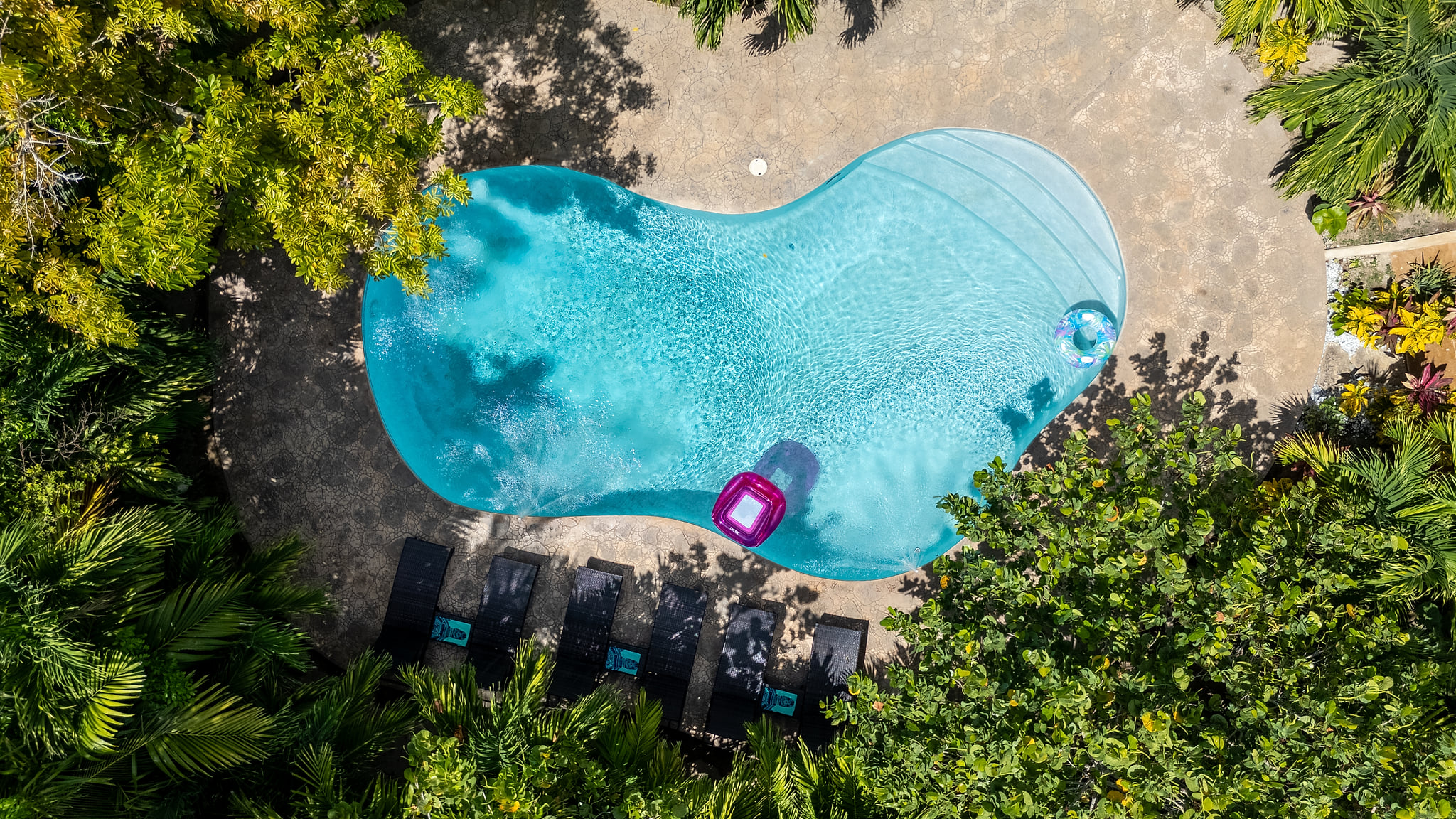 Aerial View — Private Pool and Tropical Gardens