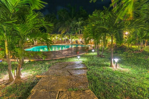 Illuminated Garden Walkways by Night