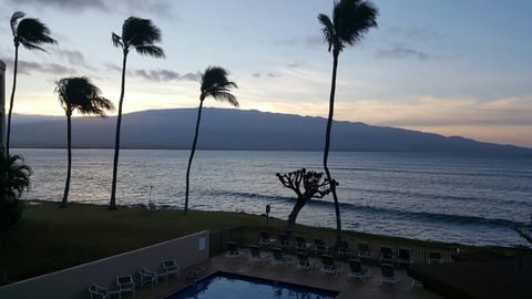 Oceanfront escape with pool, palms, and serene sunset views
