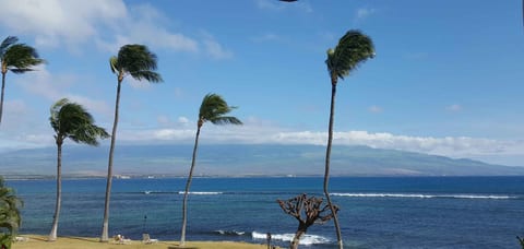Oceanfront haven with swaying palms and sweeping island views
