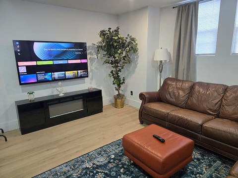 TV and Fireplace