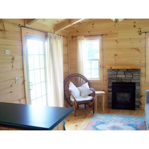 Living room with gas log fireplace. (Curly willow wreath made by David.) Smart TV is in a cabinet on the wall to the left next to the sliding porch door and just off the edge of the photo.