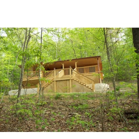 Cabin Up Amongst the Trees