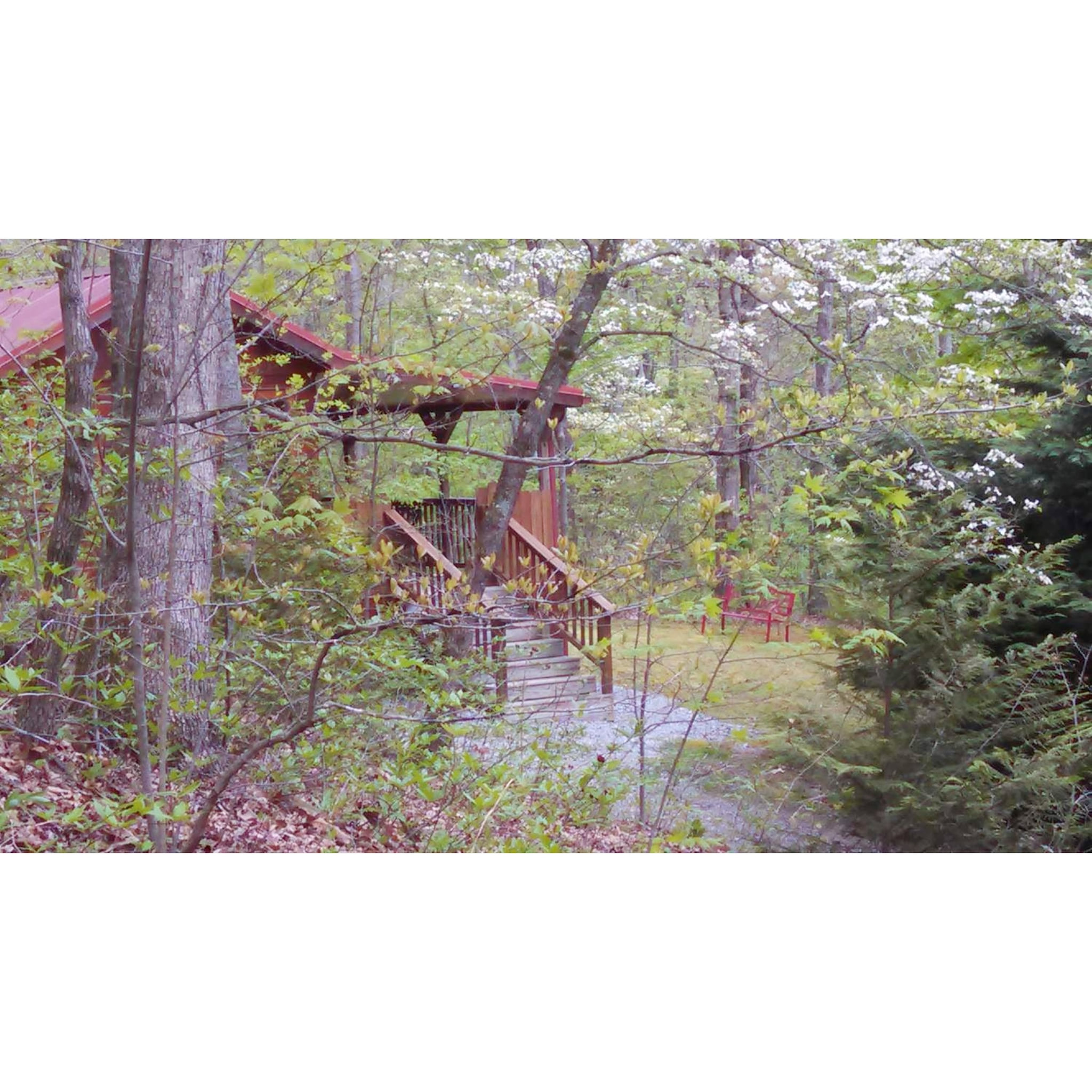 The Cabin in the Woods is in the wooded area of our 20 acre rural property.