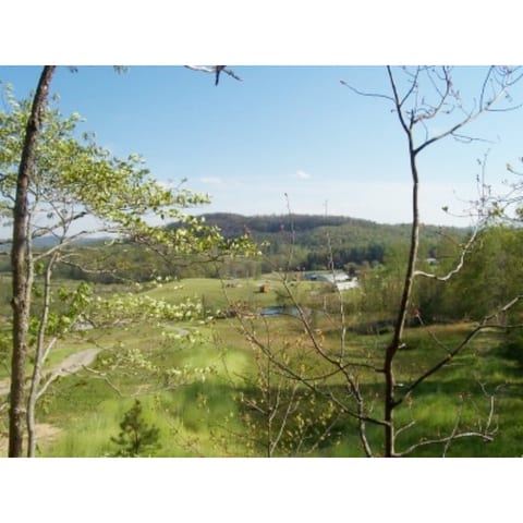 View from the Cabin on the Hill