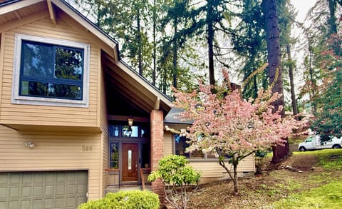 Large home with vaulted ceilings surrounded by tall trees.