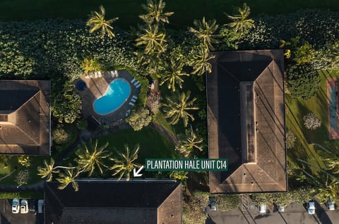 View of pool 1 & hot tub from above.
