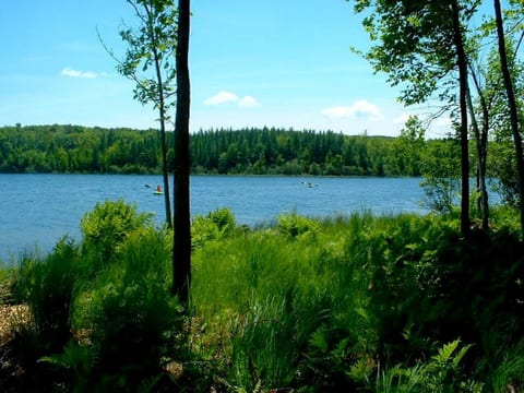 Cedar Lake Lodge 1