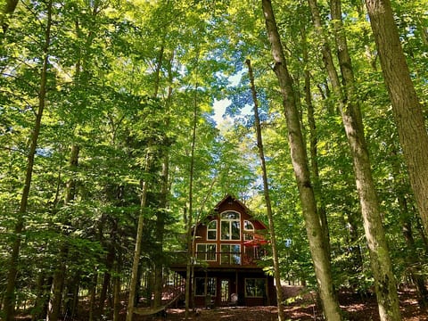 Cedar Lake Lodge 2