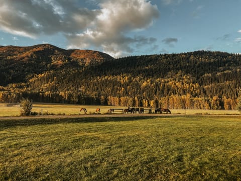 Toad River Mountain View Cabin