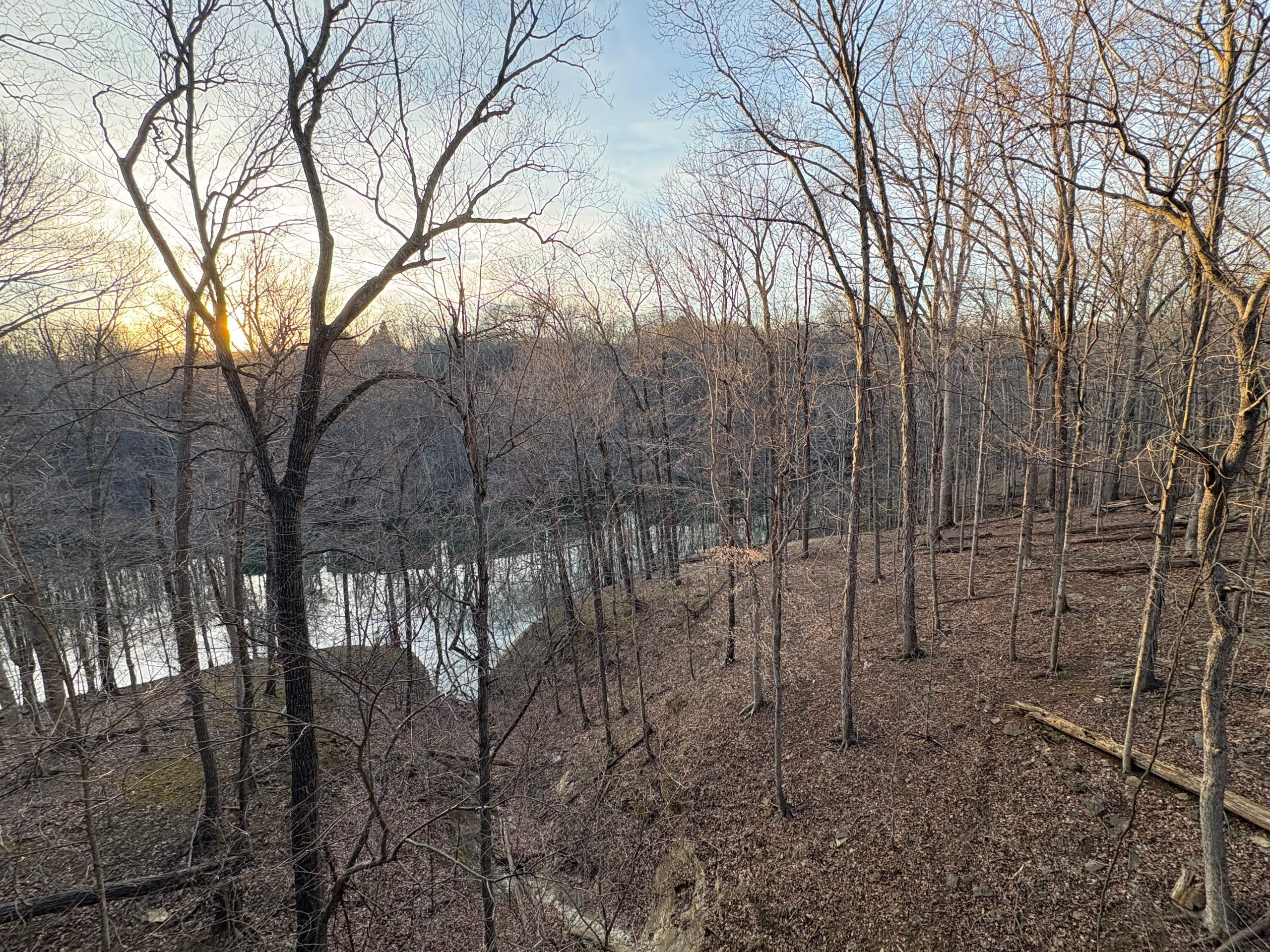 View from deck
