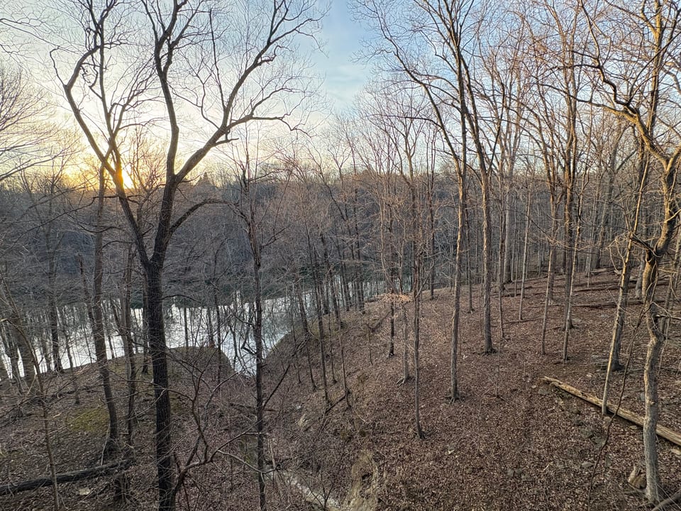 View from deck