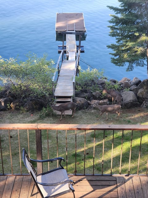 Lakefront cabin with private dock image 3