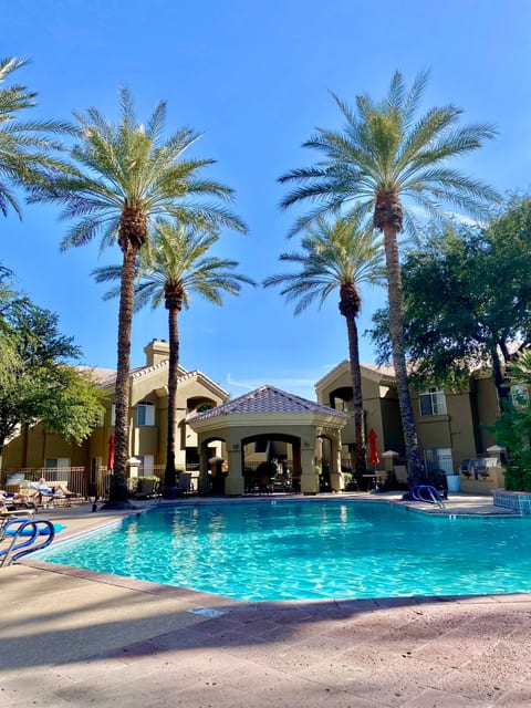 Stunning resort pool lined with Palm trees