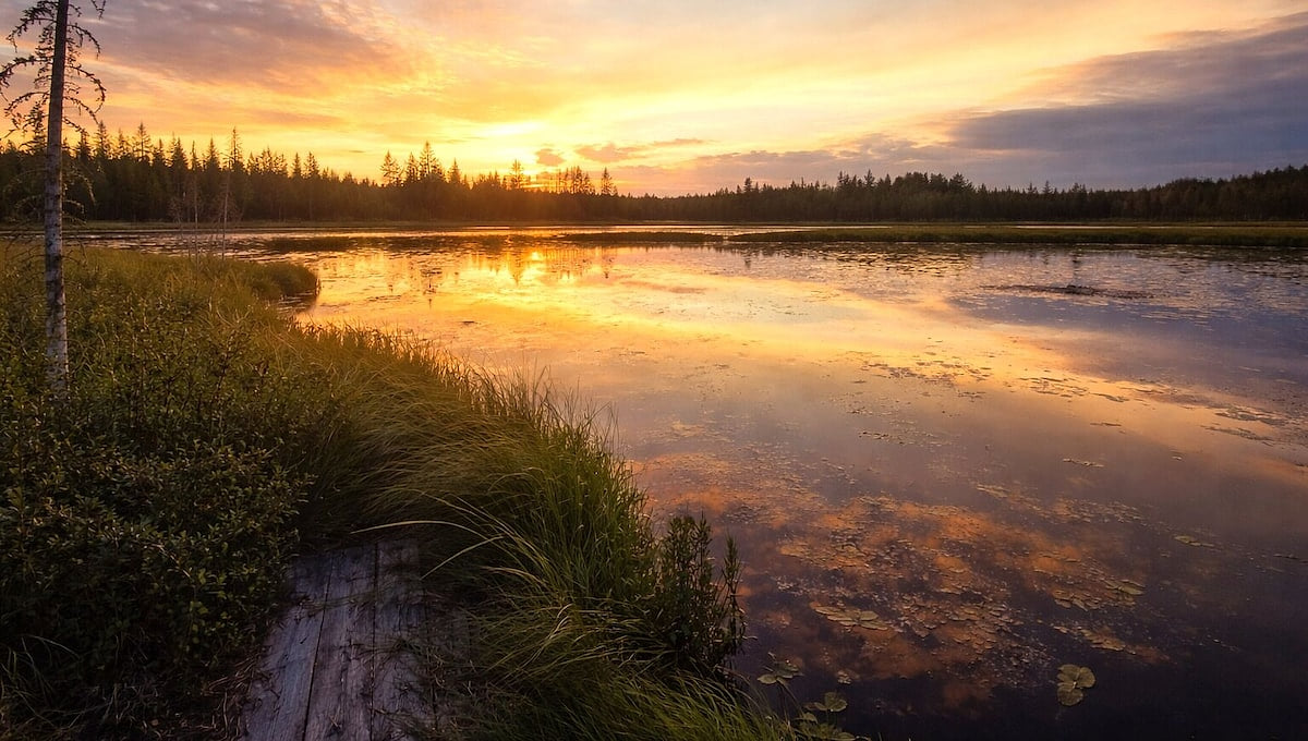 Peaceful Cranberry Lake at sunsetâunwind, relax, and take in the beauty of the N
