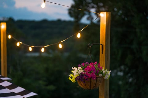 Cozy outdoor patio with string lights and colorful garden blooms