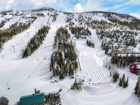 Ski/Snowboard Retreat | Starlink Wi-fi | Sleeps 14