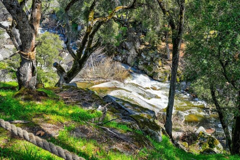 New Luxury Creekside Retreat Near Yosemite